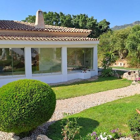 B&B La Chintina Sant'Antonio di Gallura Exteriör bild
