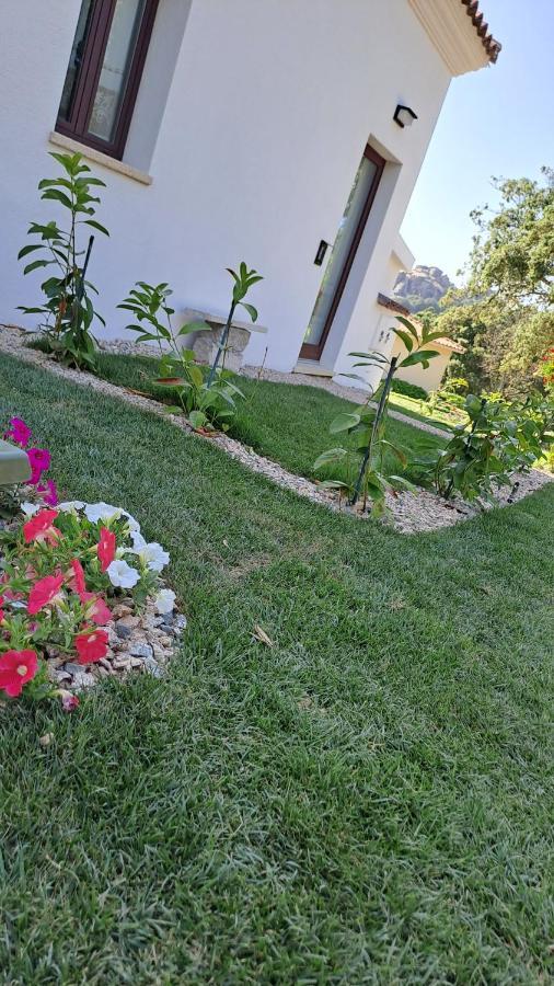 B&B La Chintina Sant'Antonio di Gallura Exteriör bild