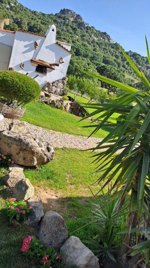 B&B La Chintina Sant'Antonio di Gallura Exteriör bild